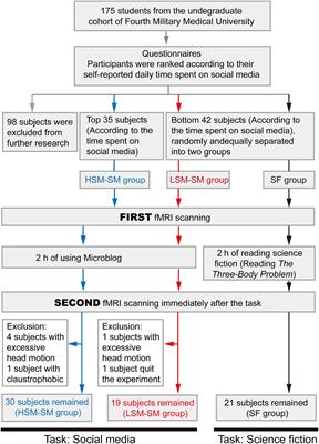 Combining Dynamic Network Analysis and Cerebral Carryover Effect to Evaluate the Impacts of Reading Social Media Posts and Science Fiction in the Natural State on the Human Brain